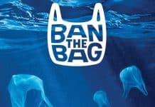 This is Why Environmental Problems Should Be Blamed on Consumers
