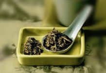 Milk Linked to Fractures: 10 Better Foods For Strong Bones