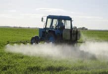 Common insecticides found to be far more dangerous to health than previously believed