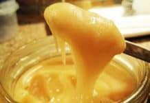 Raw Honey Contains Probiotic that Boosts Immunity