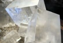 Myth busted – No-Salt Diets Not Necessarily Healthier