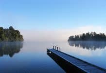 How the Power of Silence Can Rewire Your Brain and Transform Health