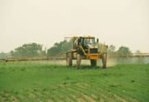 RoundUp Accumulates in GMO Food, Proving Its Lack of Safety