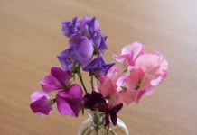 Want To Keep Cut Flowers Alive For Longer?