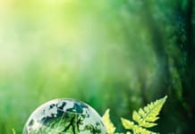 Intrepid Travel To Launch Series Of Sustainable Hotels