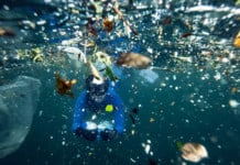 Global ‘Plastic Flood’ Reaches The Arctic