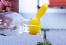 Weeds Don’t Stand A Chance Against These 7 DIY Natural Weed Killers