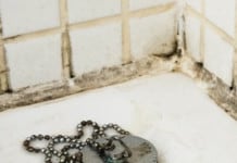 4 Signs Of Black Mould You Should Never Ignore