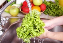 Study Shows How Microplastics Can Easily Climb The Food Chain
