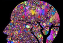 The Concept of Belief Changes Related to Psychedelic Experiences