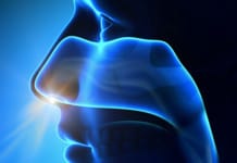 Inhale, Exhale: Uncovering The Breath-Memory Connection