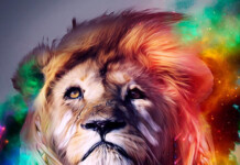 8 Lessons On Creativity