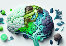 New Study Integrates Nutrition, Cognitive Function and Brain Imaging