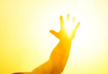 UV Light Suppresses Weight Gain