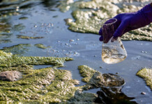 New Water Filter Removes Stubborn ‘Forever Chemicals’