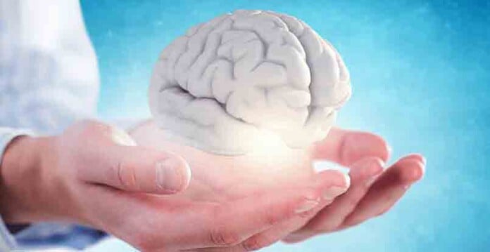 healthy_brain