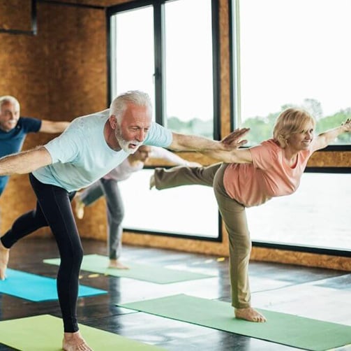 Seniors+Balance CROP