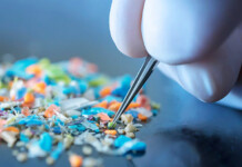 Do Microplastics Affect Gut Health?