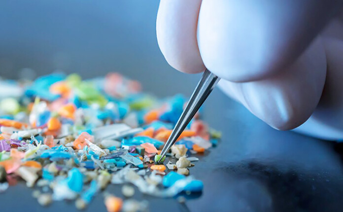 microplastics and gut health