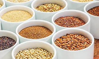 whole grains MOBILE