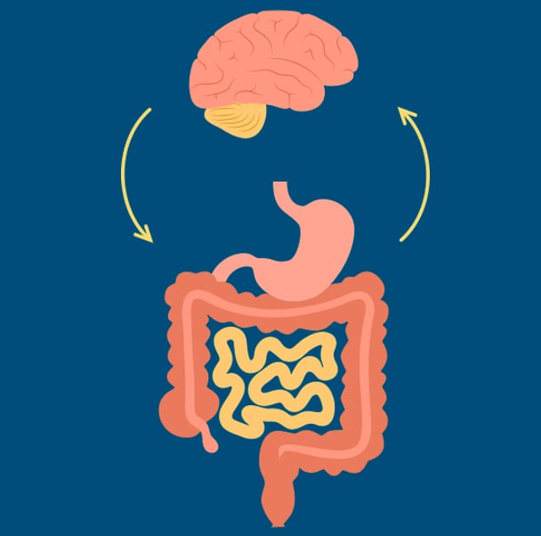 Parkinsons gut and brain connection CROP