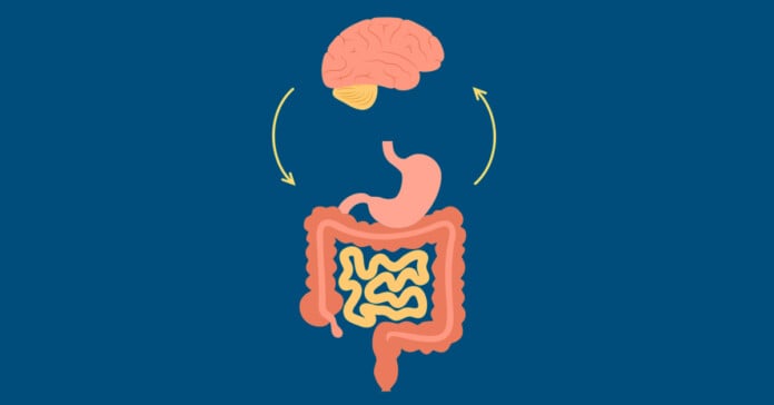 Parkinsons gut and brain connection ORIGINAL