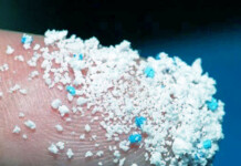 Warning of Kidney Cell Damage From High Nanoplastics Exposure