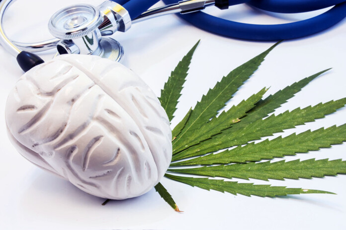 cannabis and dementia
