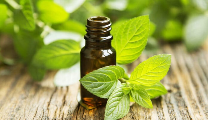 peppermint ORIGINAL