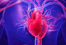 Giant Study Reveals The Secret to Heart Health