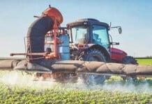Pesticide Exposure Could Increase Disease Risk For The Next 20 Generations