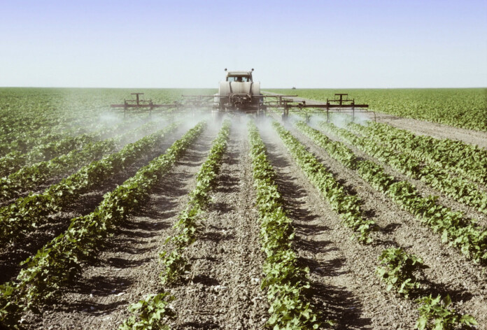 glyphosate