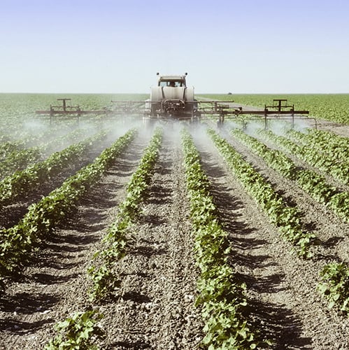 glyphosate CROP