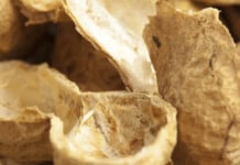 Scientists Discover an Amazing Practical Use for Peanut Shell Waste