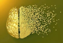 Has Dementia Research and Advocacy Been Corrupted?