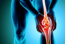 Experimental Drug Can Reverse Osteoarthritis, Animal Research Shows
