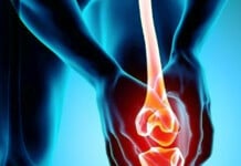 Experimental Drug Can Reverse Osteoarthritis, Animal Research Shows