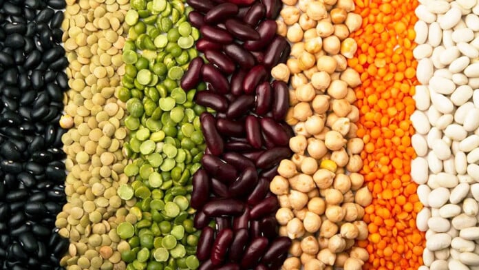 protein ORIGINAL