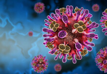 Giant Study Reveals Why Some Viruses Hide Inside Your Body For Life
