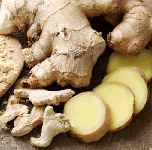 ginger CROP
