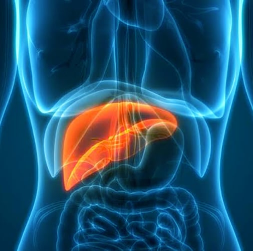 liver cancer CROP