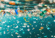 New Approach Boosts Microplastic Removal From Wastewater